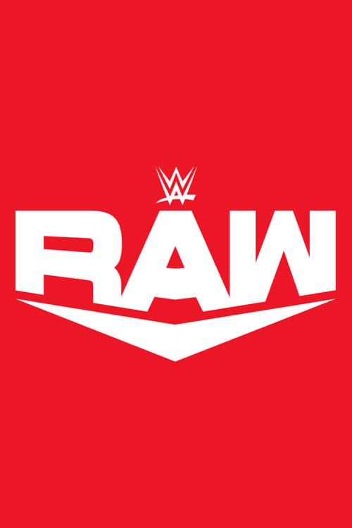 Poster WWE Raw 1993-01-11